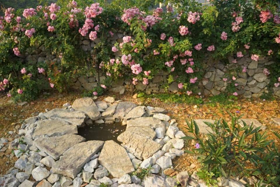 Lo Lo Homestay & Cafe Meo Vac Buitenkant foto